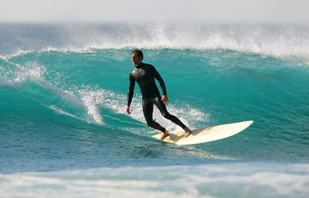 Surfing safe e1708464084259